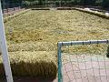 Preparazione campo (21)